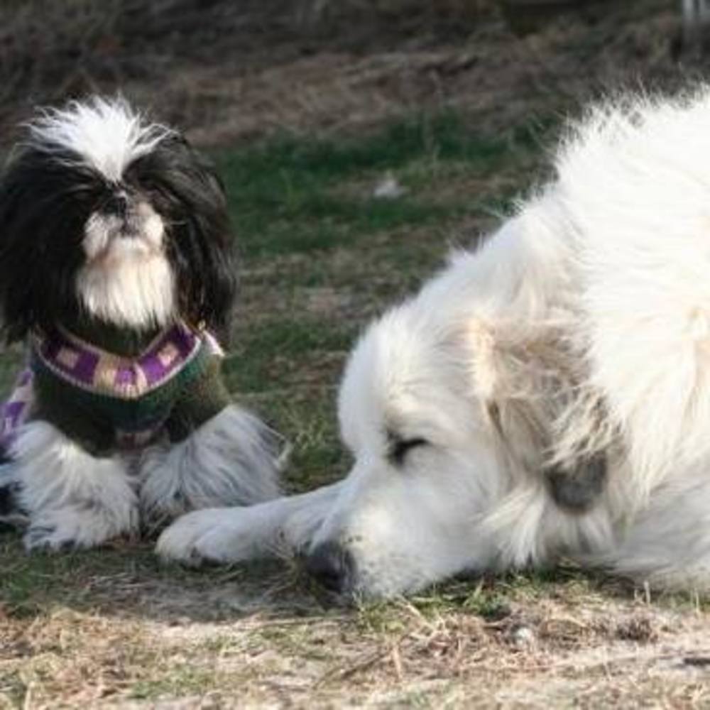 Meet your Posher, Valerie